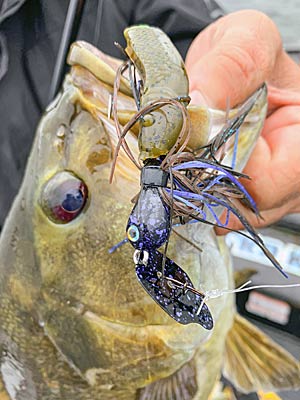 The vibration jig has become Zona’s lure of choice for shallow smallmouth bass.