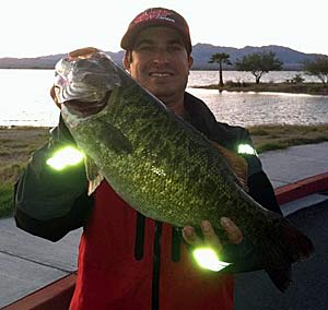 Colorado Record Smallmouth Bass