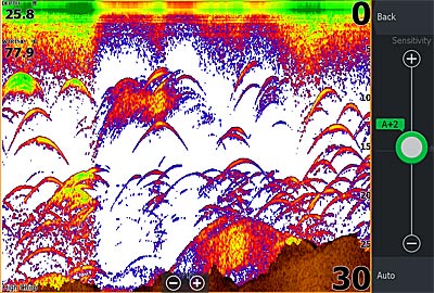 Adjusting the Sensitivity can help see more objects below the surface.