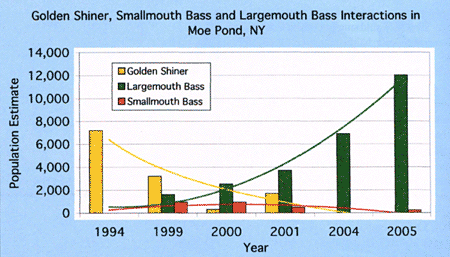 Smallmouth bass