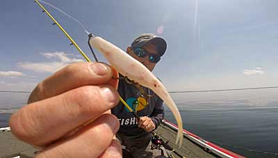 Not all soft-plastic lures are impregnated with scent. So, when New York tournament angler Brad Paradis fishes one of those, he applies a long-lasting scent that’s water soluble. Photo courtesy of Brad Paradis