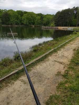 Walking right up to the water’s edge can spook bass. So, make your first casts back from the bank, walking closer to the water’s edge as you fish your way out. Photo by Pete M. Anderson