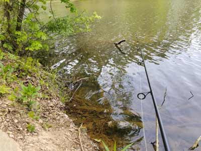 Some of the best cover is against shore. Planning your attack — from a quiet approach to casting angles — ensures you’ll catch the bass living in it. Photo by Pete M. Anderson