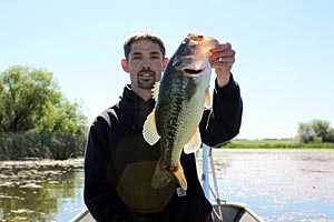 Sight fishing for bass