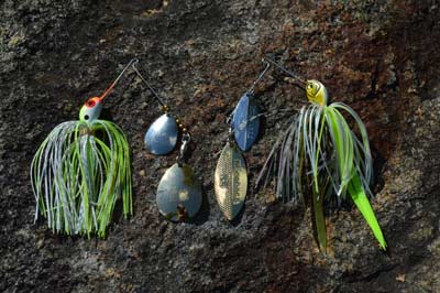 River systems are where small double-bladed spinnerbaits shine. They are easy to cast around shallow cover and tow slow, making them targets for smallmouth in cold or warming water. Photo by Pete M. Anderson