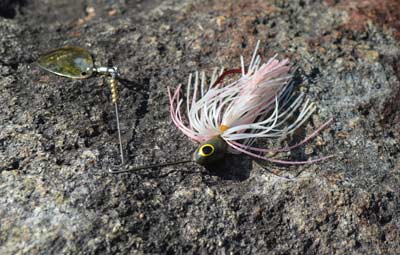 When water is at its warmest or coldest extremes, many smallmouth search out vertical structure such as channel swing banks and bluffs. Fluttering a single-blade spinnerbait along the bottom is a great way to catch them. Photo by Pete M. Anderson