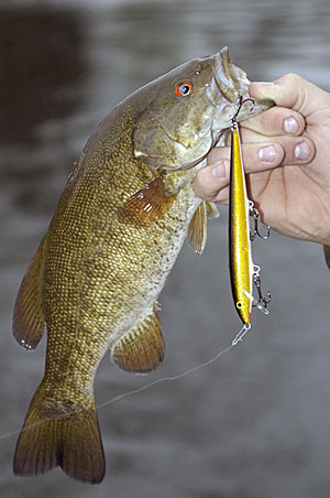 4)	The author learned about the effects of wind and catching fish on the Great Lakes from being a charter boat captain for 25 years.