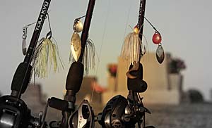 Bass Fishing Spinnerbaits