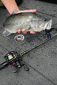 Baitcasting reels are perfect for pitching, flipping or when heavier line is preferred.