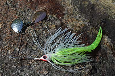 After a long winter filled with cold water, bass take advantage of warming shallows in the spring. The first ones can be scattered. Small spinnerbaits help you cover water and convince tentative bass to strike. Photo by Pete M. Anderson