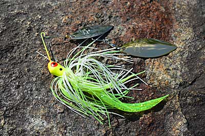 Prespawn bass loaded up on submerged aquatic vegetation are suckers for a slow-rolled spinnerbait fished on braided line. You’ll get more strikes by letting it get caught in the grass and then clearing it with a quick twitch of your rod's tip. Photo by Pete M. Anderson