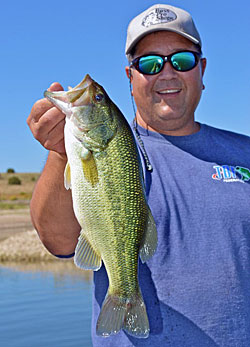 4)	Swimbaits catch all species of bass including chunky largemouths like the one Sam Heckman is holding.