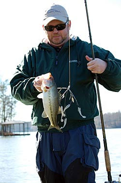 Bass crash through schools of baitfish — or your umbrella rig spread — with plans to circle back for the injured ones, which are easy meals. Rig your swimbaits on an open hook, and you’ll catch most bass on their first pass. Photo by Pete M. Anderson