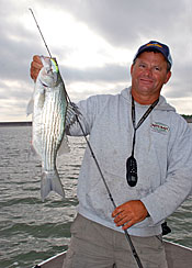 Guide Steve Lytle with a silvery wiper. Wipers are a cross between a white bass and a striped bass.