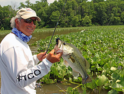 Bass scatter on a rising tide, taking advantage of newly flooded cover. That can make them difficult to find, so Potomac River guide State Chaconas concentrates on hard edges, such as a riprap bank, which keep them corralled. Photo courtesy of Steve Chaconas