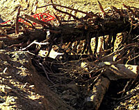 This is an example of structure placed peripherally in the lake bottom. Trees in a creek-like trench, placed in water about six feet deep. This type of structure is attractive to largemouth bass.