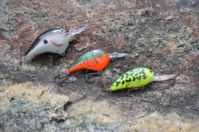 Crankbaits perfectly imitate baitfish, which bass key on in September. Medium-diving ones are perfect for cranking laydowns for largemouth or the edges of shallow shoals for smallmouth. Photo by Pete M. Anderson