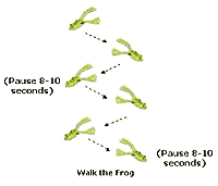 Snag Proof Tournament Frog