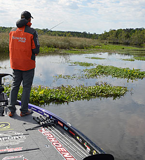 On a high tide, bass have more water and cover at their disposal. Low and outgoing tides concentrate bass on the edges of structure and cover, making them easier to catch. Photo by Pete M. Anderson