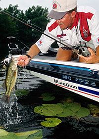 Floating vegetation can take the form of dense mats of water hyacinths that are not anchored to the bottom and drift according to the wind. Other surface plants, like water lilies, American lotus and others, are less dense with plenty of openings were bass can prowl.