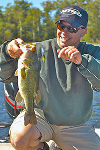 Bass positioned near the surface in floating vegetation have their bib on. They realize floating weeds present a smorgasbord of food sources and take advantage of it.