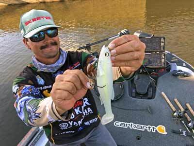 Swimbait tips