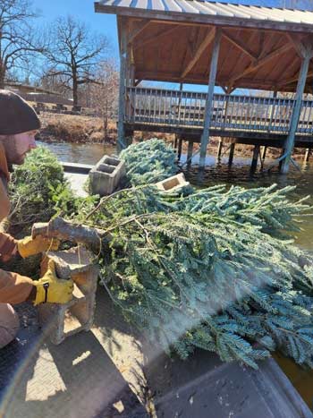 Christmas trees being added to Wells Lake