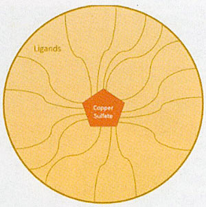 Ligands structure.