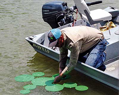 Texas Hunter lily pads give off shade and easy deployment.