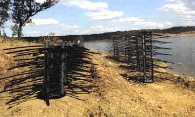 Mossback Fish Habitat in a new lake.