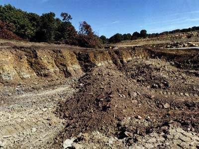 This habitat plan is in process. You can see the sheer drops and layered soils. Other features will be added as construction progresses.