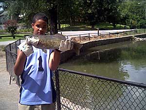 Retention Pond Fishing