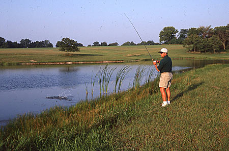 Anglers have a better chance of catching bass from the bank by fishing smaller waters than larger lakes and reservoirs.