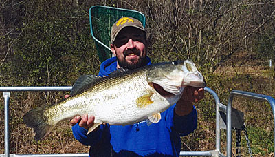 A true trophy bass. This fish is at least ten years old, so it has conditioned to this lake, is hard to catch, and will thrive for several more years. It is wily and seasoned to its environment.