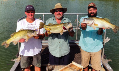 With productive fertile waters, fish like these from a new 50-acre lake in central Alabama, can be grown in a short time.