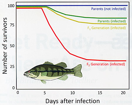 Days after infection