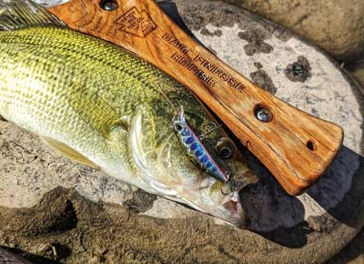 Bass with a Japanese minnow bait.