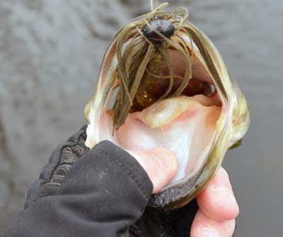 Football jigs are built to catch bass in cold water. Their weight-forward design makes them sink straight down vertical structure and hug the bottom in deep water, where most bass are found in December. Photo by Pete M. Anderson