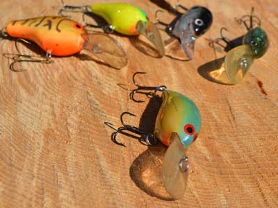 Medium-running crankbaits are built for September, when many bass leave deep summertime haunts for shallower cover and structure. Not only do they dive to the perfect depth — 5 to 12 feet — they mimic the small baitfish that bass hunt in fall. Photo by Pete M. Anderson