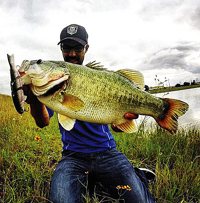 Recently, a huge bass from a big bait.