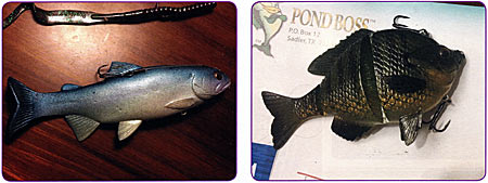 Left: 10"Berkeley Powerbait worm and 8"Huddleston Deluxe Swimbait. Right: Savage Gear 4 " 3D Bluegill Swimbait.