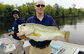 8 pound largemouth bass collected when electrofishing.