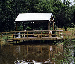 Building a pond