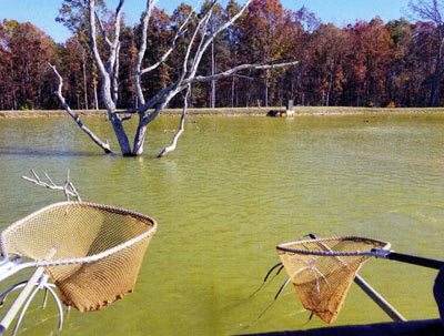 View from the bow of the electrofishing boat.