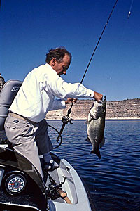 This big one took a green pumpkin lizard at Lake Pleasant.