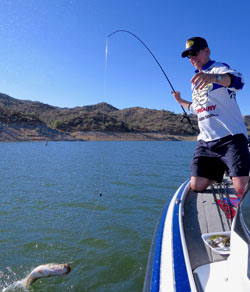 Gary Senft at Bartlett Lake with a Carolina rig.