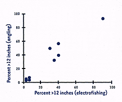 Fish catch ratios