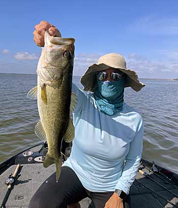 A solid Lake Griffin bass that fell for a ChatterBait fished in offshore hydrilla.