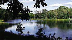 This medium size lake in the northeast has excellent aesthetics as perceived by the "clear water conundrum ": however, I struggle to keep fish production up at 300 lbs per acre.