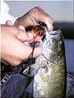 Deep-diving crankbaits